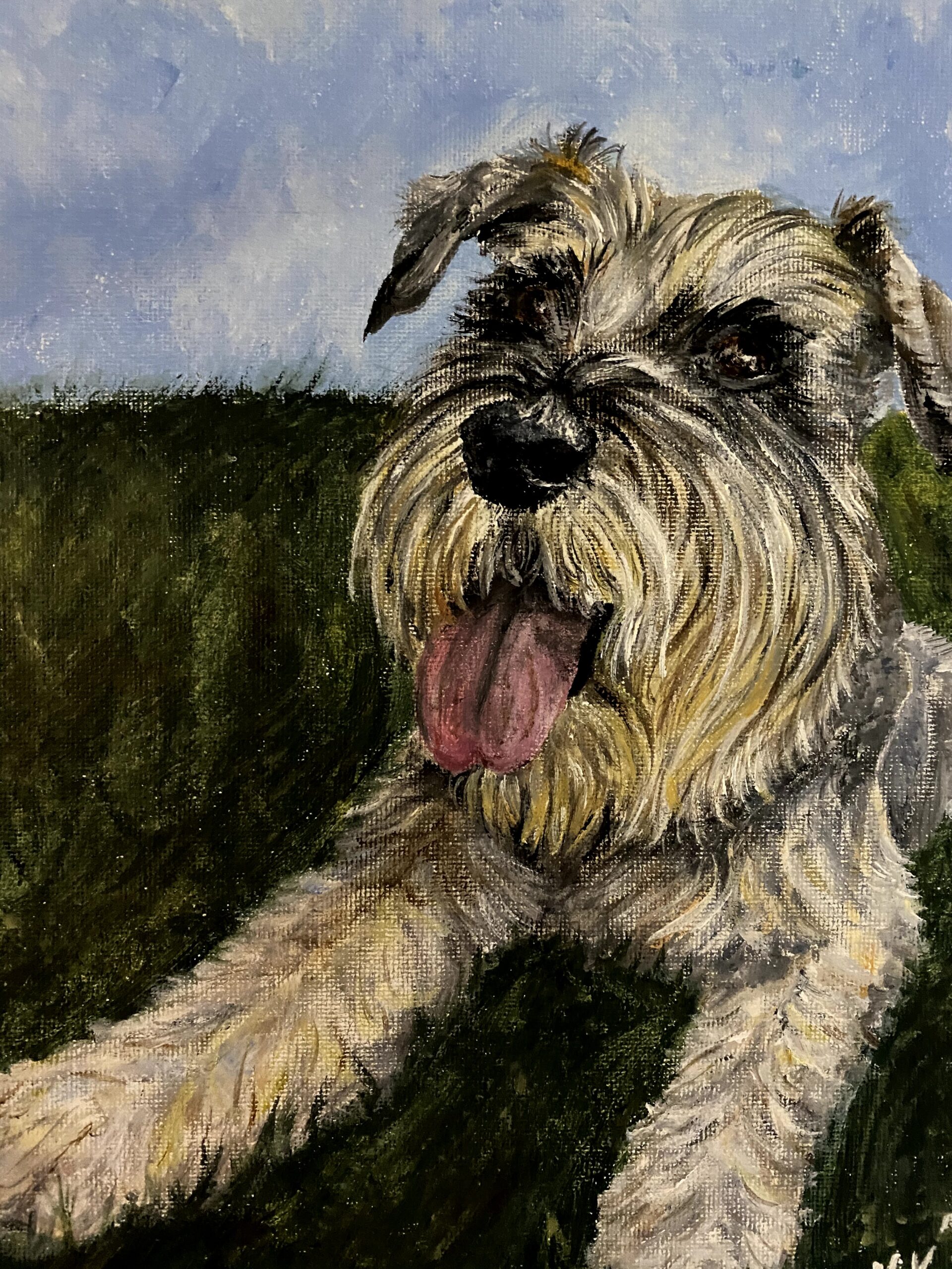 An acrylic painting of a schnauzer laying on some grass